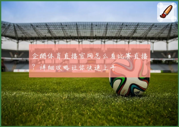 企鹅体育直播官网怎么看比赛直播？详细攻略让你快速上手