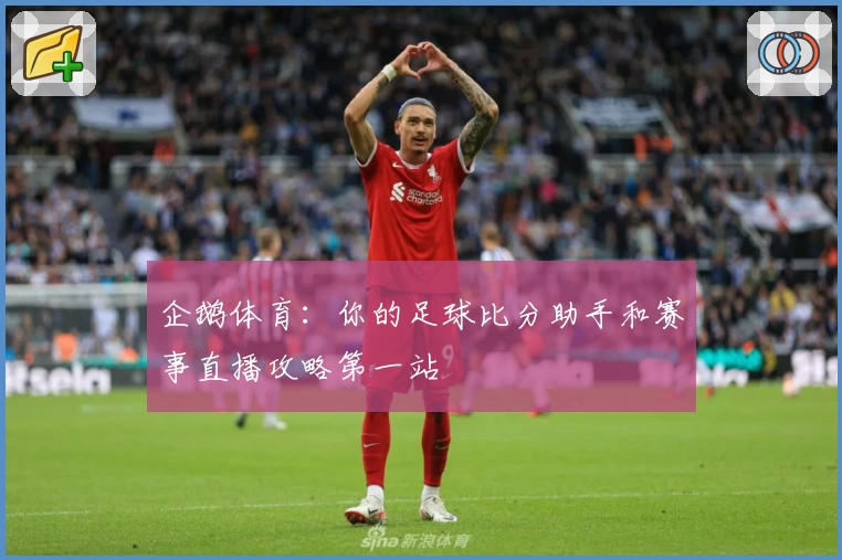 企鹅体育:你的足球比分助手和赛事直播攻略第一站