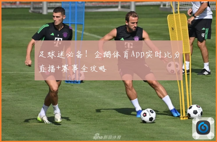 足球迷必备！企鹅体育App实时比分直播+赛事全攻略