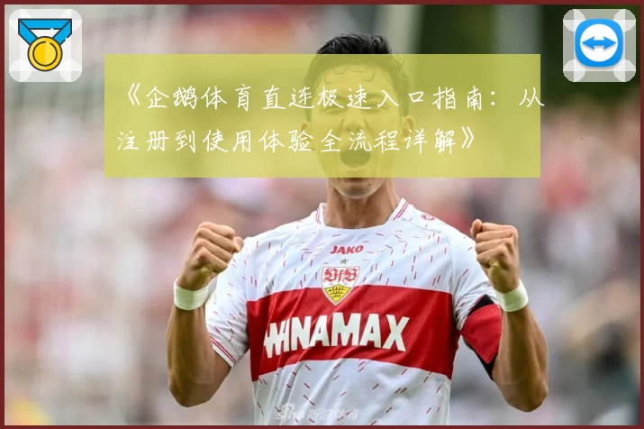 《企鹅体育直连极速入口指南：从注册到使用体验全流程详解》