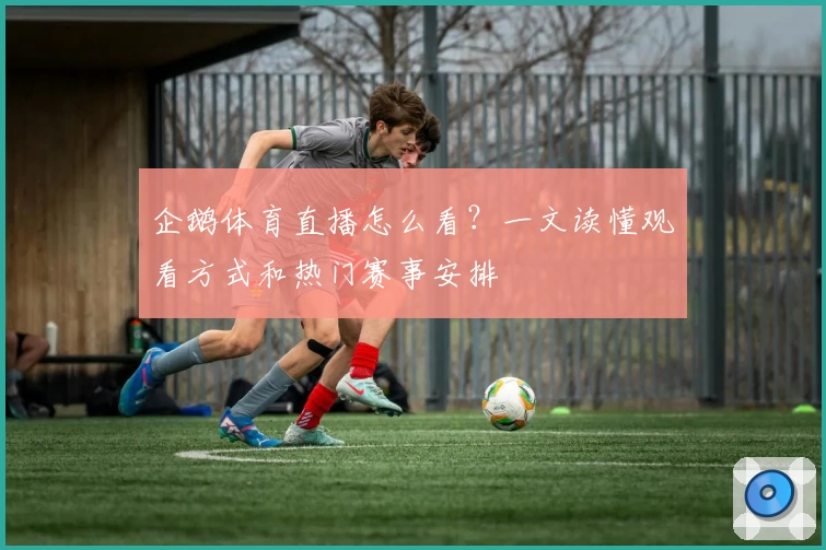 企鹅体育直播怎么看？一文读懂观看方式和热门赛事安排