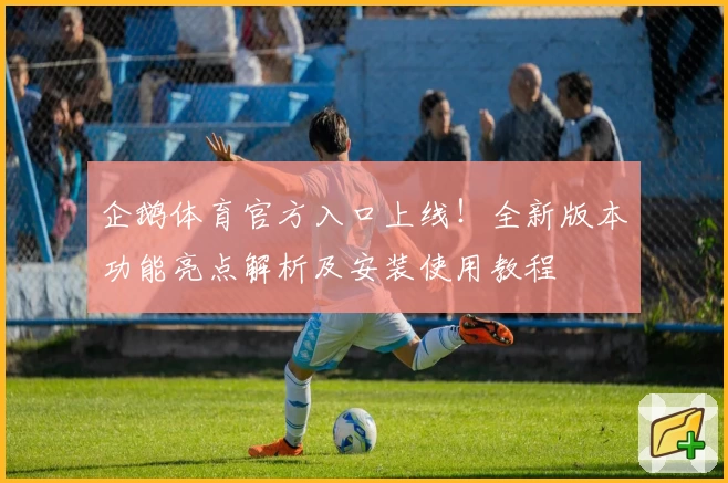 企鹅体育官方入口上线！全新版本功能亮点解析及安装使用教程