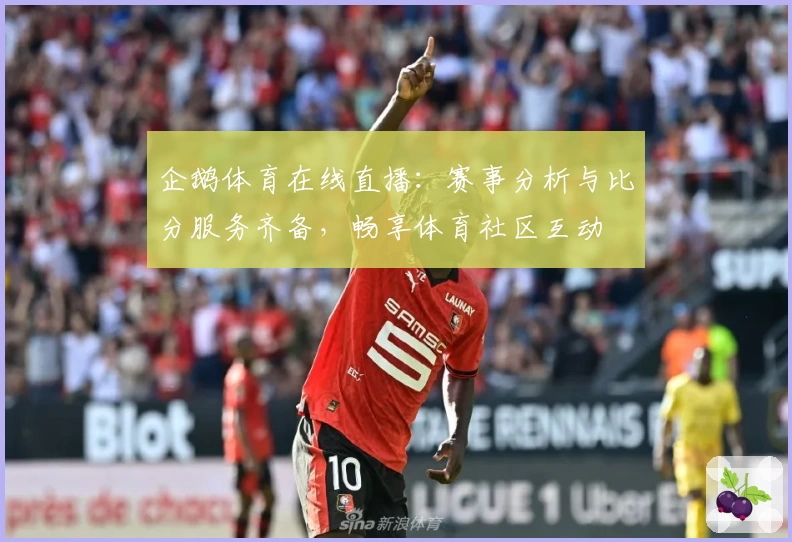 企鹅体育在线直播：赛事分析与比分服务齐备，畅享体育社区互动