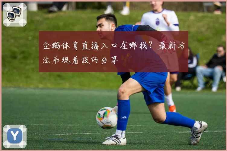 企鹅体育直播入口在哪找？最新方法和观看技巧分享