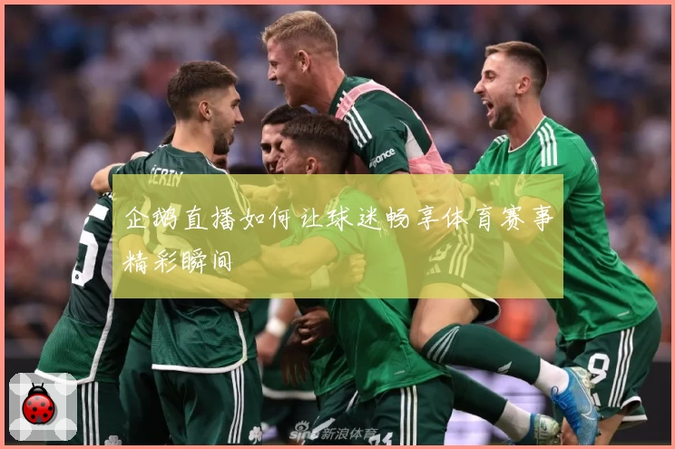 企鹅直播如何让球迷畅享体育赛事精彩瞬间