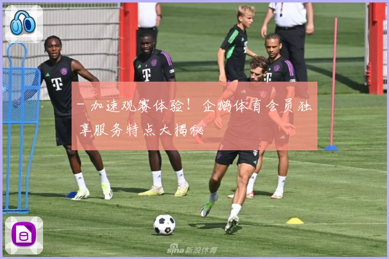 - 加速观赛体验！企鹅体育会员独享服务特点大揭秘